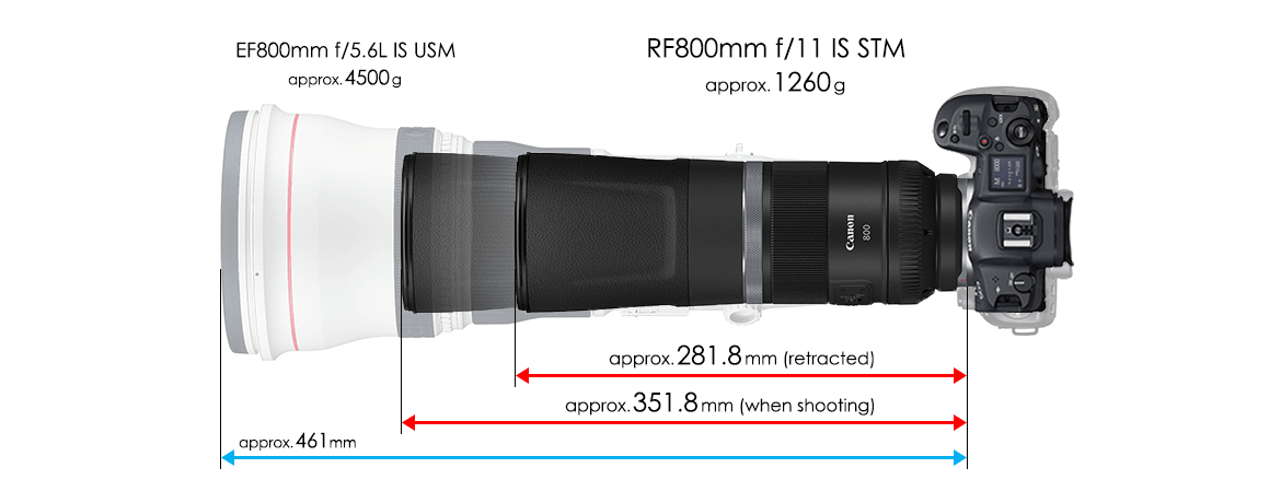 RF鏡頭- RF800mm f/11 IS STM - 佳能台灣